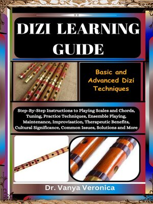 cover image of DIZI LEARNING GUIDE